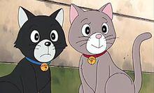 小咪和她的哥哥