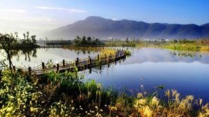 煙雨鷺洲濕地 煙雨鷺洲濕地