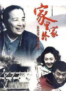 家裡家外[2009年穆龍執導電視劇]