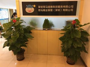 深圳河馬信息科技服務有限公司 深圳河馬信息科技服務有限公司