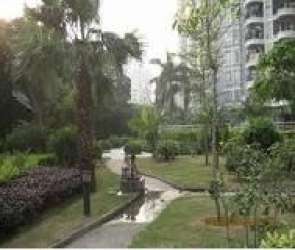 藕塘錢橋項目 藕塘錢橋項目