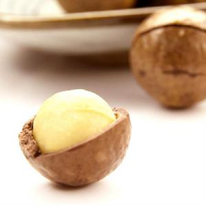 卜珂[堅果品牌]