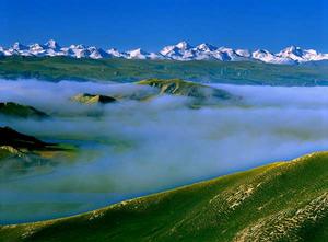 新疆巴音布魯克國家級自然保護區 新疆巴音布魯克國家級自然保護區