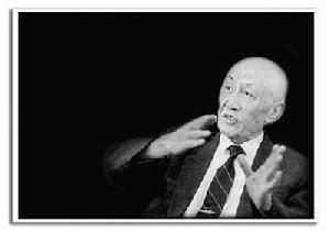 朱光亞星 朱光亞星