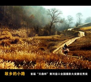 《故鄉在遠方》 《故鄉在遠方》