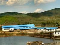 楊三莊自然村 楊三莊自然村