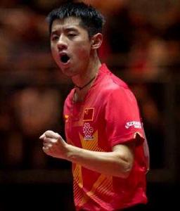 藏獒[桌球奧運冠軍張繼科的外號]