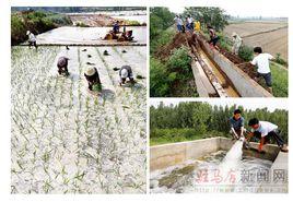 李新店鎮 李新店鎮