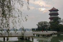 西湖管理區景色