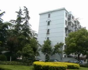 平陽一村 平陽一村