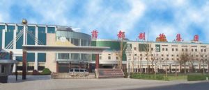 藥都製藥集團股份公司 藥都製藥集團股份公司