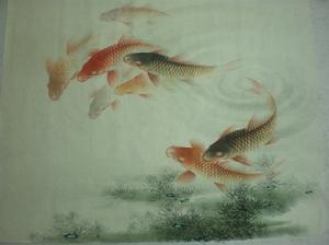 藍健康鯉魚 藍健康鯉魚