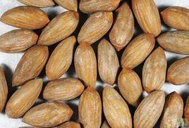 椒鹽香榧 椒鹽香榧