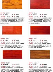 （圖）實木地板