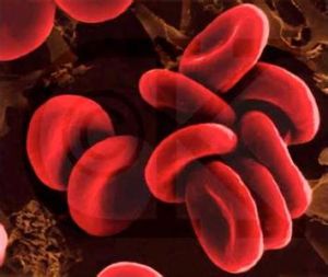 紅細胞比積 紅細胞比積