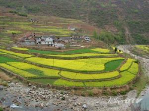 山林經濟：建基地興特色產業