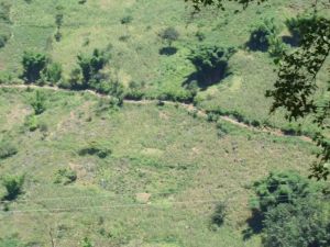 上木瓜苴村 上木瓜苴村