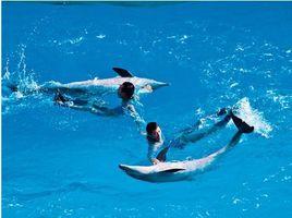 香港海洋劇場 香港海洋劇場