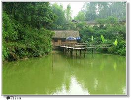 青山嶺森林公園 青山嶺森林公園