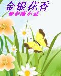 金銀花香 金銀花香