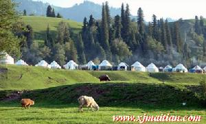 那拉提草原風景區