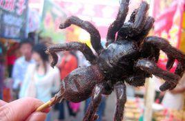 油炸毒蜘蛛 油炸毒蜘蛛