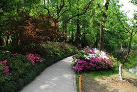 四月天社區 四月天社區