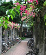 國立台灣大學生物資源暨農學院