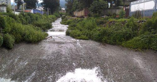 洱海[雲南省湖泊]
