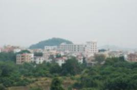 大塘村[廣東省廣州市南沙區黃閣鎮大塘村]