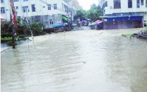 信宜市金垌鎮 信宜市金垌鎮