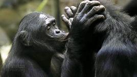 違反自然? 違反自然?