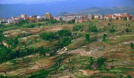 四川達縣金石鄉 四川達縣金石鄉