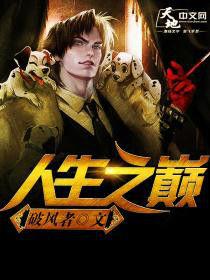 人生之巔 人生之巔