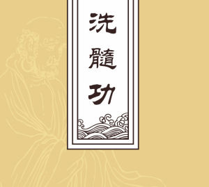 洗髓功 洗髓功