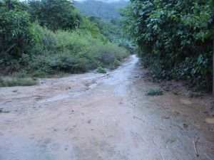 大丙敦自然村 大丙敦自然村