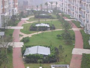 棕櫚灣(二期紅樹灣) 棕櫚灣(二期紅樹灣)