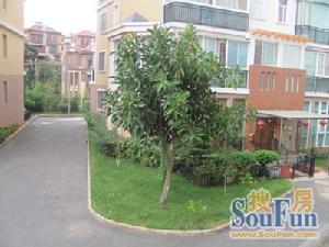 金博花園別墅 金博花園別墅