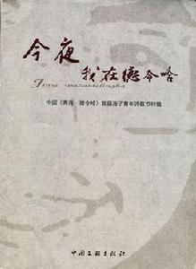 今夜我在德令哈 今夜我在德令哈