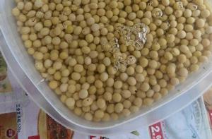 大豆水 大豆水