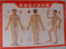 艾灸穴點陣圖 艾灸穴點陣圖