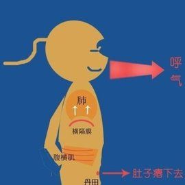 胸式呼吸 胸式呼吸