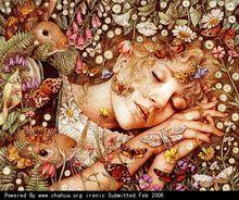 Y&middot;吉爾伯特