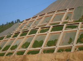 邊坡加固 邊坡加固