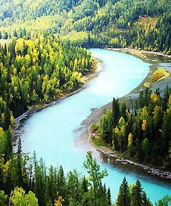 保護工作開放式評估標準 保護工作開放式評估標準