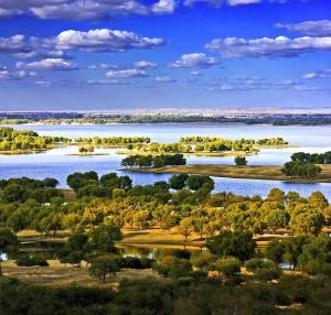 向海國家級自然保護區 向海國家級自然保護區