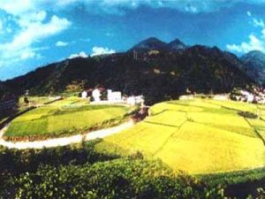 太極星象村 太極星象村