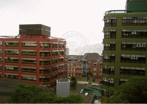 惠靈頓維多利亞大學