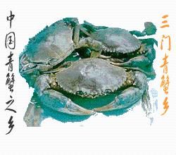 三門青蟹 三門青蟹