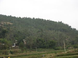 金家壩村 金家壩村